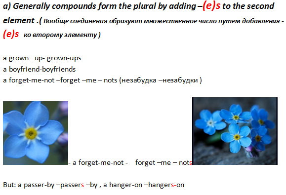 The plural of compound nouns 